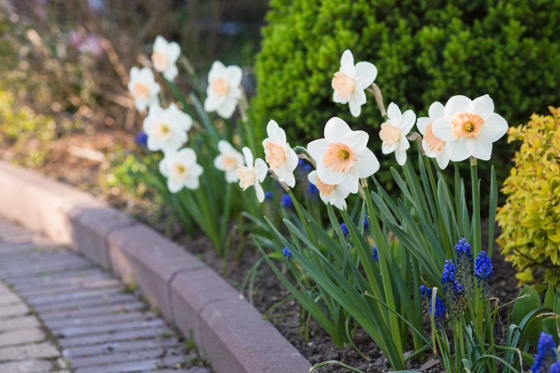 Edge Detailing with Pavers